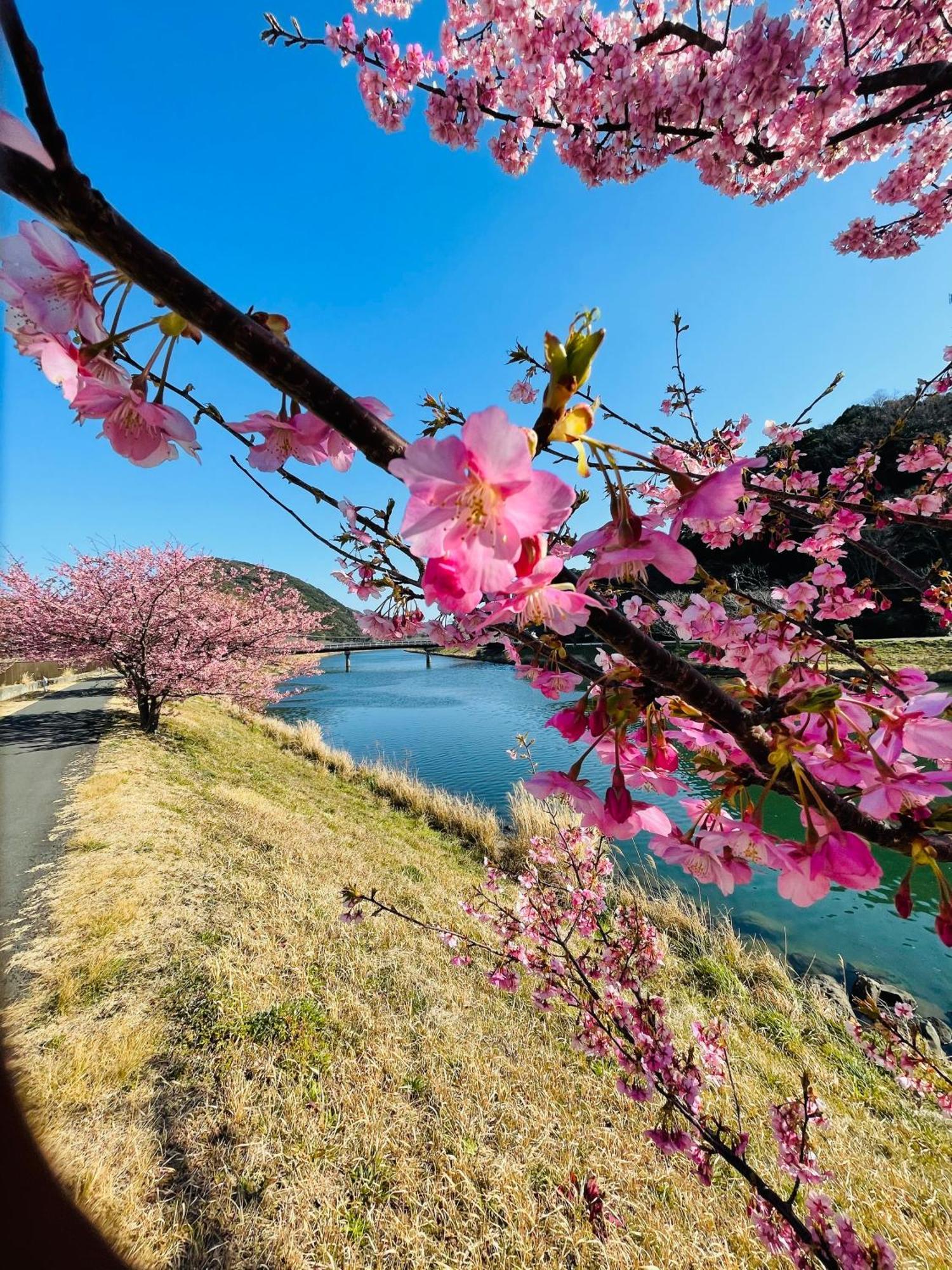 Patagonia Home Shimoda  Esterno foto